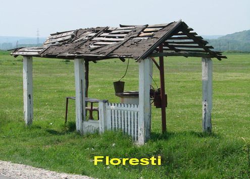 Floresti