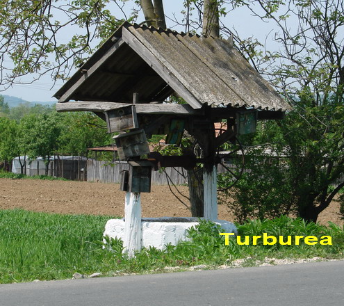 Turburea