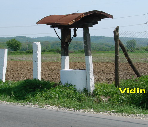 Vidin