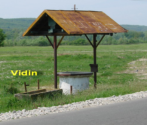Vidin
