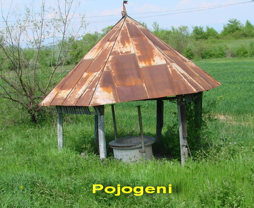 Pojogeni