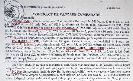 Şoc: 720 ha de pădure seculară = 20 miliarde lei vechi