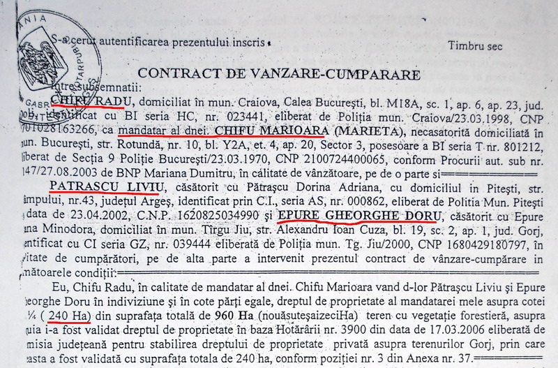 Şoc: 720 ha de pădure seculară = 20 miliarde lei vechi