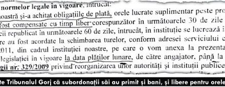 Delapidare de miliarde la Poliţia Locală Târgu Jiu!