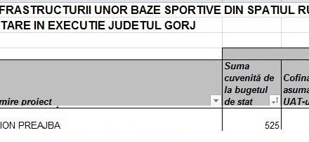 Stadionul lui Cârciumaru de la Preajba, islaz pentru oi