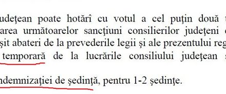 Călinoiu a făcut pierdute rapoartele de activitate ale fostului consilier județean Iulia Vână