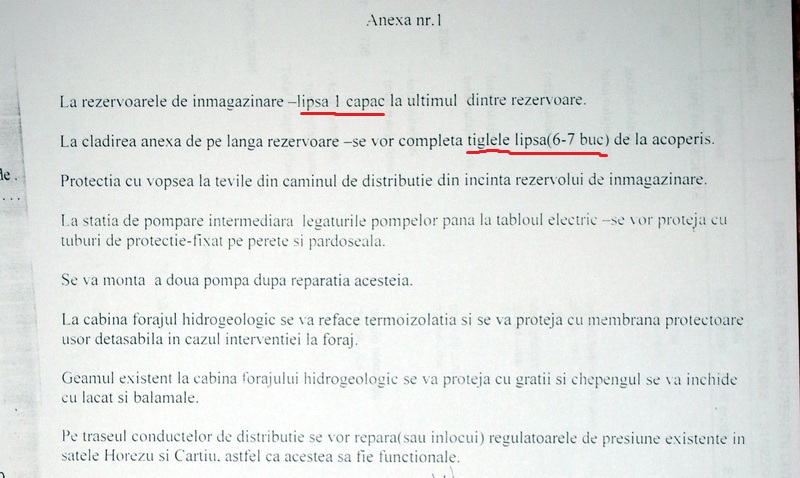 Ce rol joacă prefectul în filmul cu proști de la Turcinești?