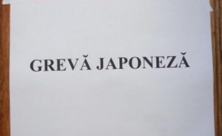 Profesorii gorjeni, în grevă japoneză