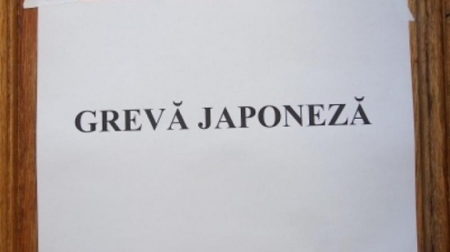 Profesorii gorjeni, în grevă japoneză