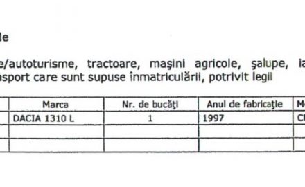 Ponta l-a adus pe Bebe Viorel Ionică în sapă de lemn