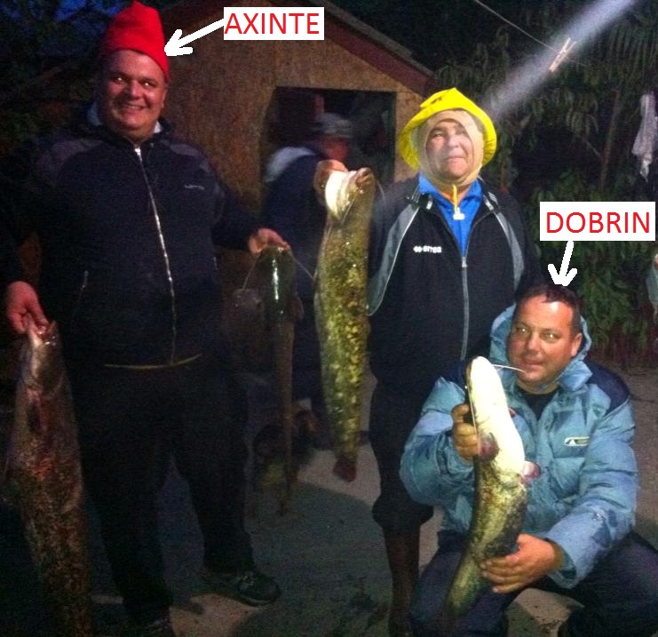 axinte si dobrin