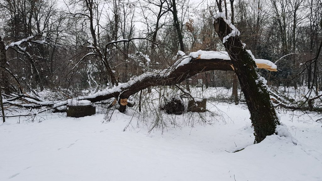 Exclusiv. Pictorial horror cu DEZASTRUL din Parcul Brâncuși, ÎNCHIS de patru zile de primarul Romanescu