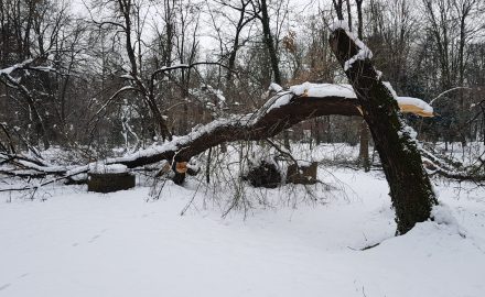 Exclusiv. Pictorial horror cu DEZASTRUL din Parcul Brâncuși, ÎNCHIS de patru zile de primarul Romanescu