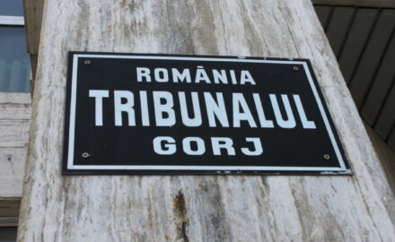 JUDECĂTOAREA Berculescu PLEACĂ CU VACA. Exces de TICĂLOȘIE, la Tribunalul Gorj